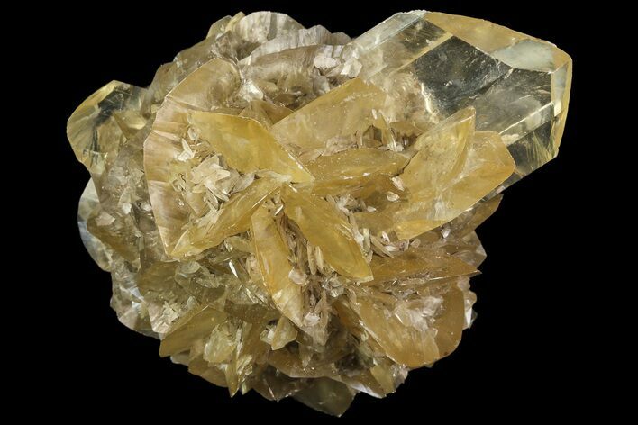 Twinned Selenite Crystals (Fluorescent) - Red River Floodway #77602